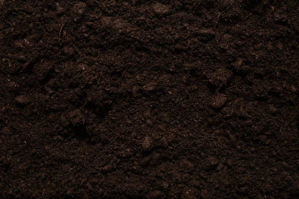 Tierra Negra Para Fondo Vegetal Vista Superior — Foto de Stock