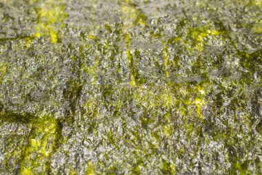 Arka plan olarak Norveç yosunu. Üst görünüm.