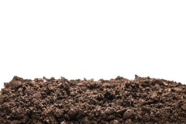 Beyaz arka planda izole edilmiş bitkiler için kara toprak. 