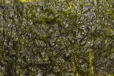 Arka plan olarak Norveç yosunu. Üst görünüm.