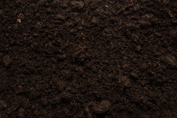 Bitkiler için kara toprak. Üst görünüm. 