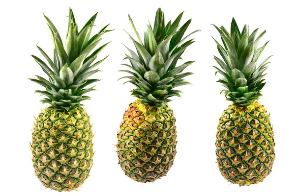 Ananas Geïsoleerd Wit — Stockfoto