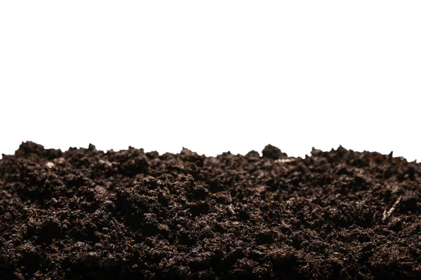 Чорна Земля Рослини Ізольована Білому Тлі — стокове фото