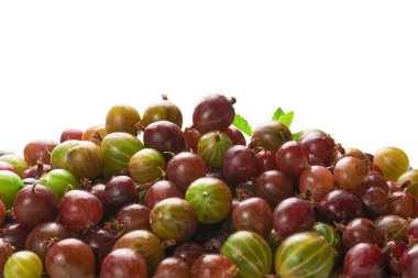 Bektaşi üzümü ve nane, beyaz arka planda izole edilmiş. Üst görünüm. 