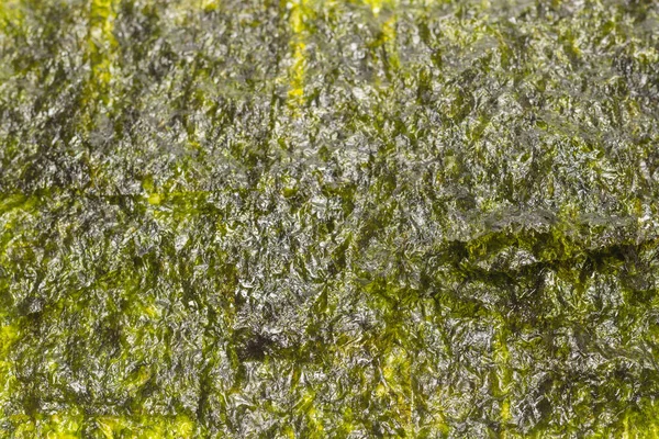 Nori seaweed as a background. Top view.