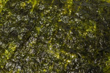 Arka plan olarak Norveç yosunu. Üst görünüm.