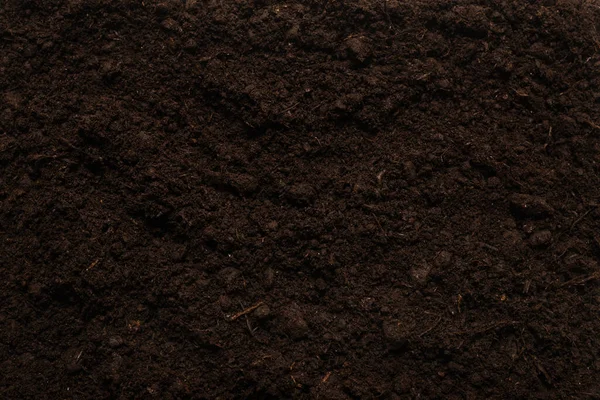 Bitkiler için kara toprak. Üst görünüm. 