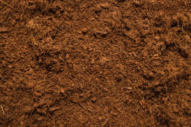 Hindistan cevizi substrat arka planı. Üst görünüm.