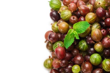 Bektaşi üzümü ve nane arkaplan olarak. Üst görünüm. 