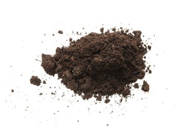 Beyaz arka planda izole edilmiş bitkiler için kara toprak. 