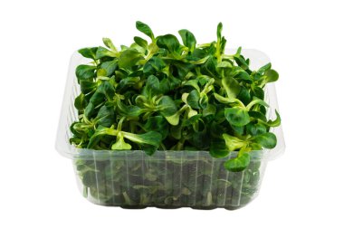 Beyaz arka planda püre salatası. Üst görünüm. 