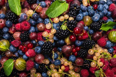 Bektaşi üzümü, yabanmersini, dut, ahududu, beyaz ve kırmızı frenk üzümü arka plan. 