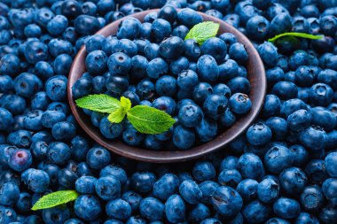 Taze yaban mersini arkaplanı. Doku yaban mersini yakından geliyor..