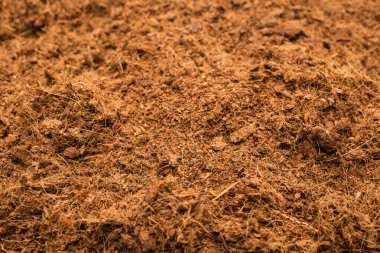 Hindistan cevizi substrat arka planı. Üst görünüm.