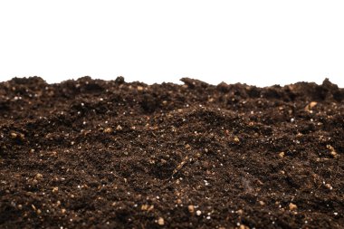 Beyaz arka planda izole edilmiş bitkiler için kara toprak. 