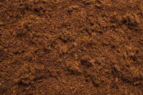 Hindistan cevizi substrat arka planı. Üst görünüm.