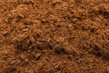 Beyaz arka planda izole edilmiş bitkiler için kara toprak. 