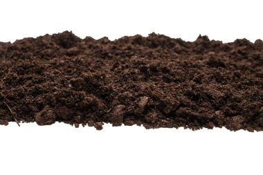 Beyaz arka planda izole edilmiş bitkiler için kara toprak. 