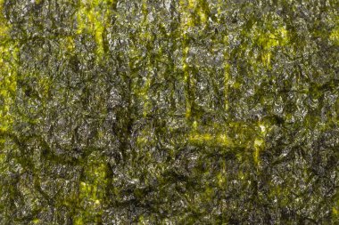 Arka plan olarak Norveç yosunu. Üst görünüm.