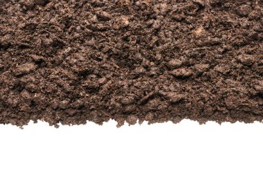 Beyaz arka planda izole edilmiş bitkiler için kara toprak. 
