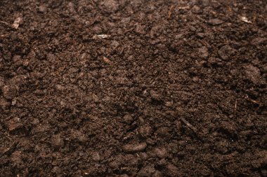 Bitkiler için kara toprak. Üst görünüm. 