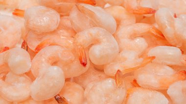 Donmuş karides arka planı. Üst görünüm. 