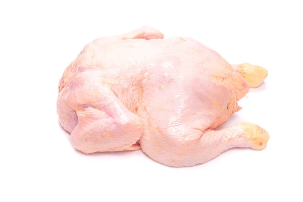 白地に隔離された生鶏 — ストック写真