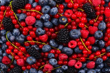 Blackberry, ahududu, yabanmersini, kırmızı frenk üzümü ve nane arkaplanı. 