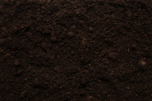 Black Land Plant Background Top View — Stock Photo, Image