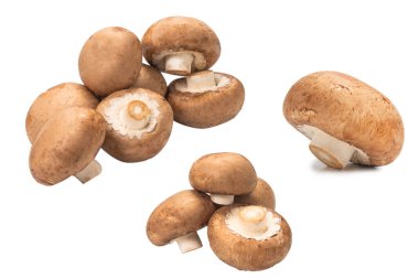 Beyaz arka planda izole edilmiş lezzetli mantar..
