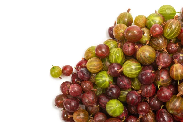 Gooseberry Isolated White Background Top View — Stock Photo, Image