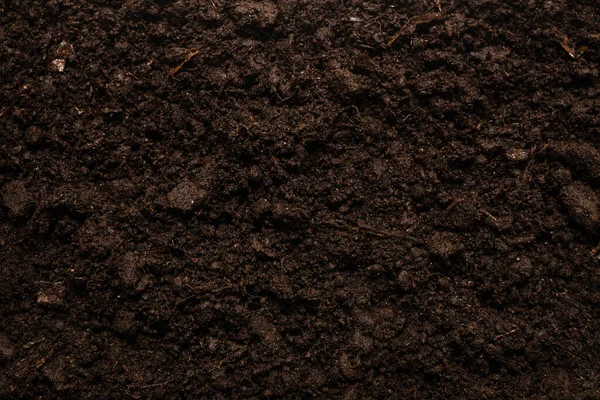 Black Land Plant Background Top View — Stock Photo, Image