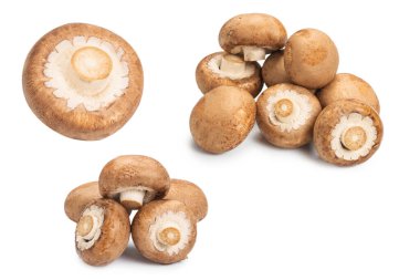 Beyaz arka planda izole edilmiş lezzetli mantar..