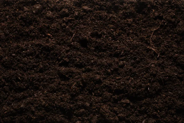 Bitkiler için kara toprak. Üst görünüm. 