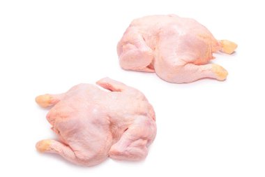 Beyaz arkaplanda çiğ tavuk izole. 