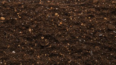 Bitkiler için kara toprak. Üst görünüm. 