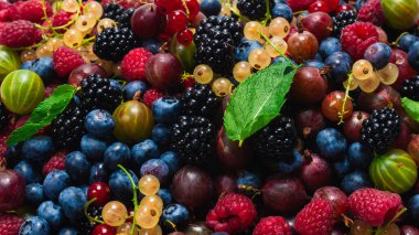 Bektaşi üzümü, yabanmersini, dut, ahududu, beyaz arka planda izole edilmiş beyaz ve kırmızı üzümler. 