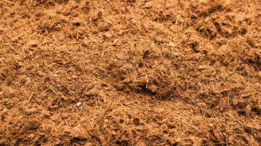 Hindistan cevizi substrat arka planı. Üst görünüm.