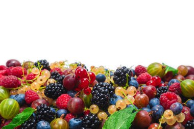 Bektaşi üzümü, yabanmersini, dut, ahududu, beyaz arka planda izole edilmiş beyaz ve kırmızı üzümler. 