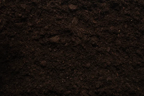 Teren Negru Pentru Fundal Plante Privire Sus — Fotografie, imagine de stoc
