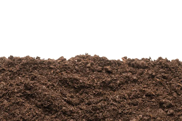 Beyaz arka planda izole edilmiş bitkiler için kara toprak. 