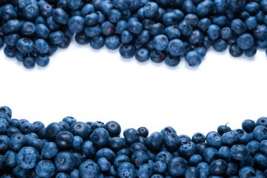 Beyaz arka planda taze yaban mersini ve nane. Boşluğu kopyala.