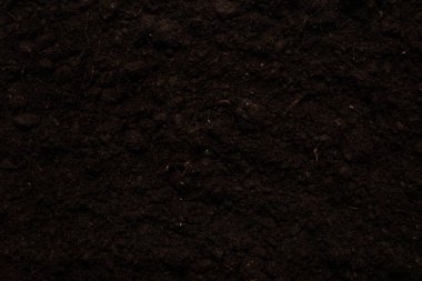 Bitkiler için kara toprak. Üst görünüm. 