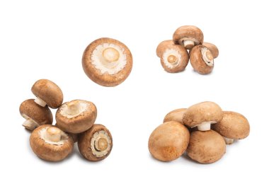 Beyaz arka planda izole edilmiş lezzetli mantar..