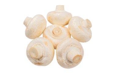 Şampiyon mantarı beyaz arka planda izole edilmiş. Üst görünüm. 