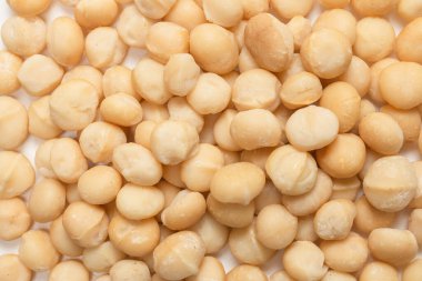 Beyaz arka planda izole edilmiş Macadamia fındıkları. Üst görünüm.