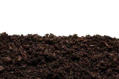 Beyaz arka planda izole edilmiş bitkiler için kara toprak. 