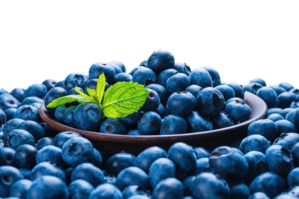 Taze yaban mersini arkaplanı. Doku yaban mersini yakından geliyor..