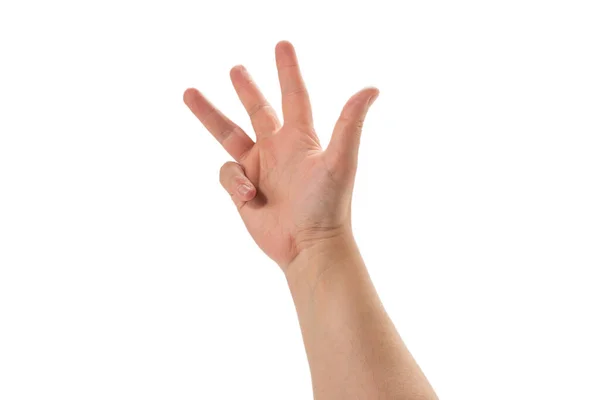 Männliche Hand Isoliert Auf Weißem Hintergrund — Stockfoto