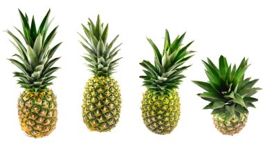 Beyaz üzerine izole edilmiş ananas. 